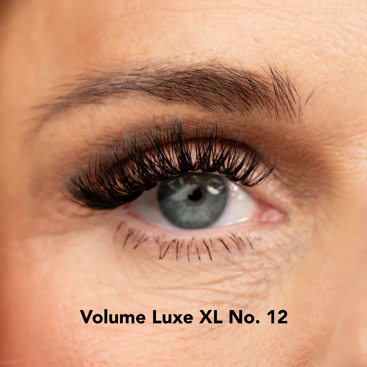 Lisa Wilson Starter Kit - Image 3